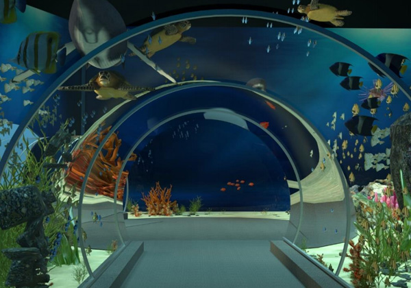 When designing an aquarium, the following points must be considered